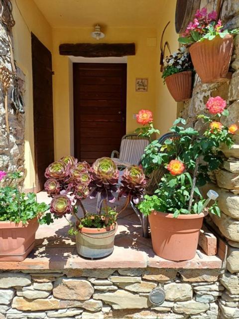 Casa Galla Ovada Exterior foto